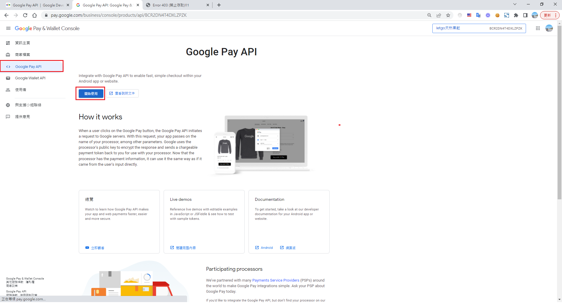 Google Pay API 開發者主控台介面,左側選單