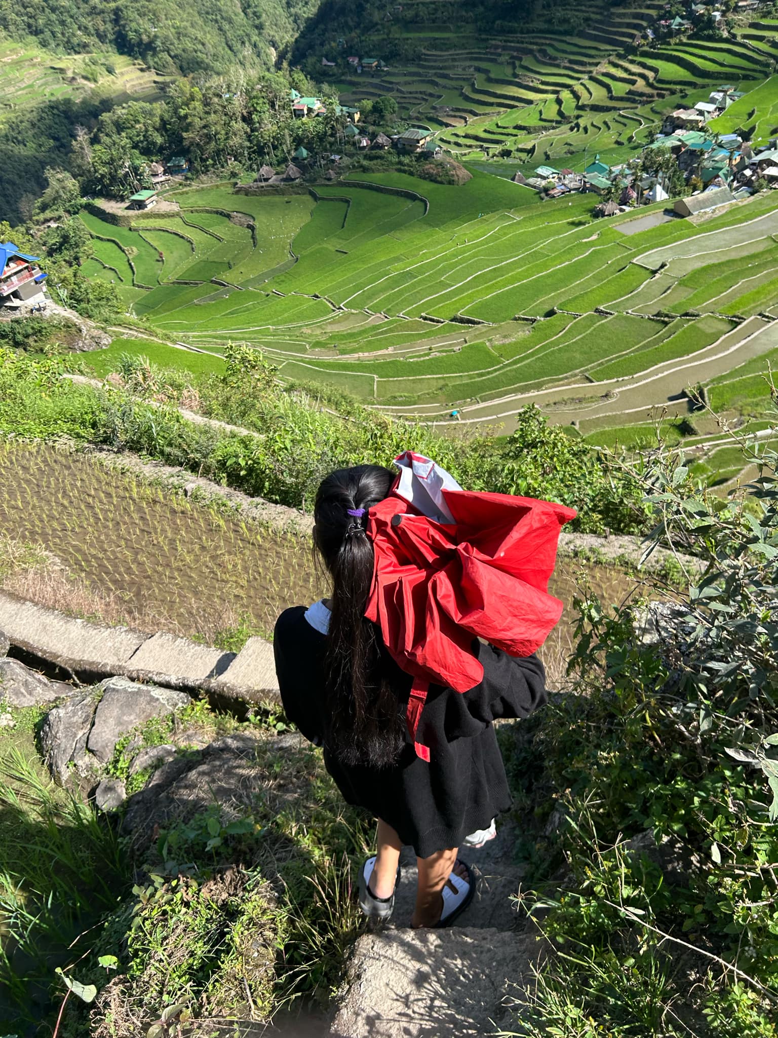 tour guide