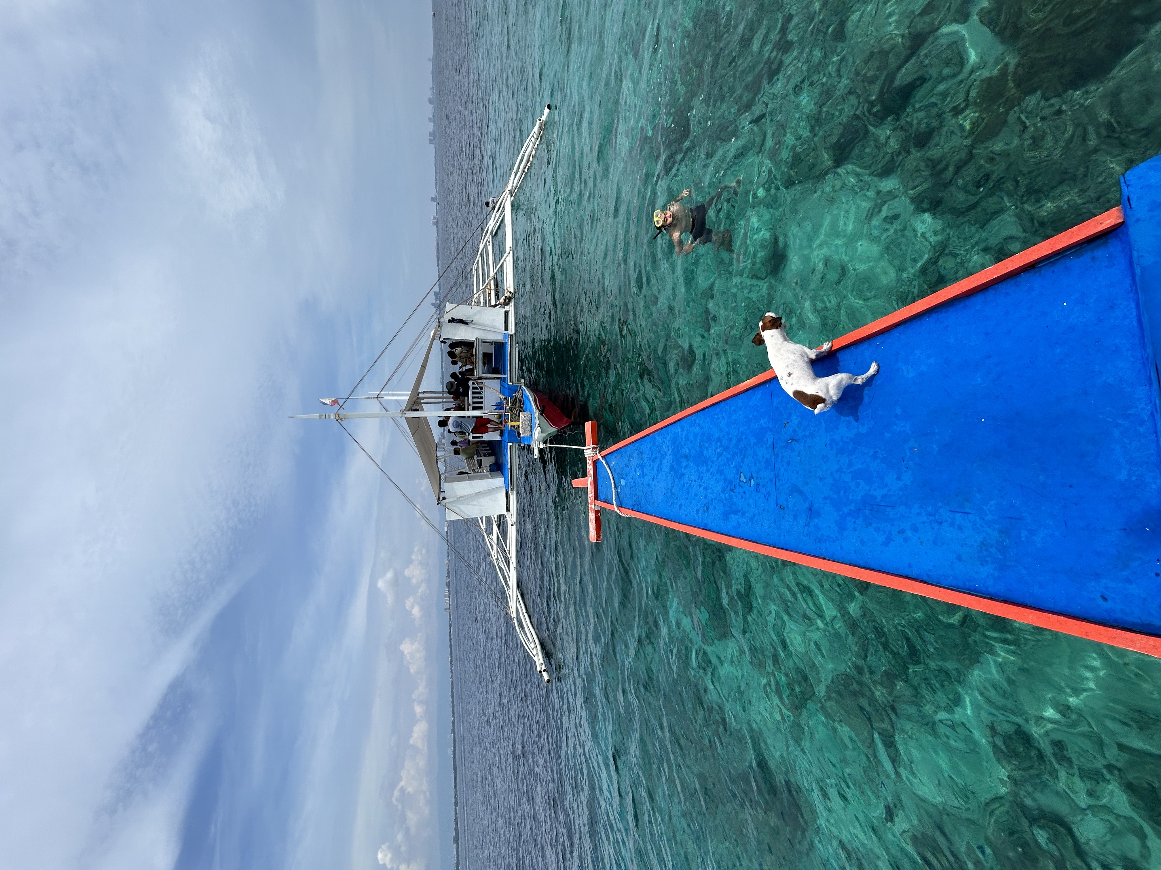 Swimming & Snorkeling