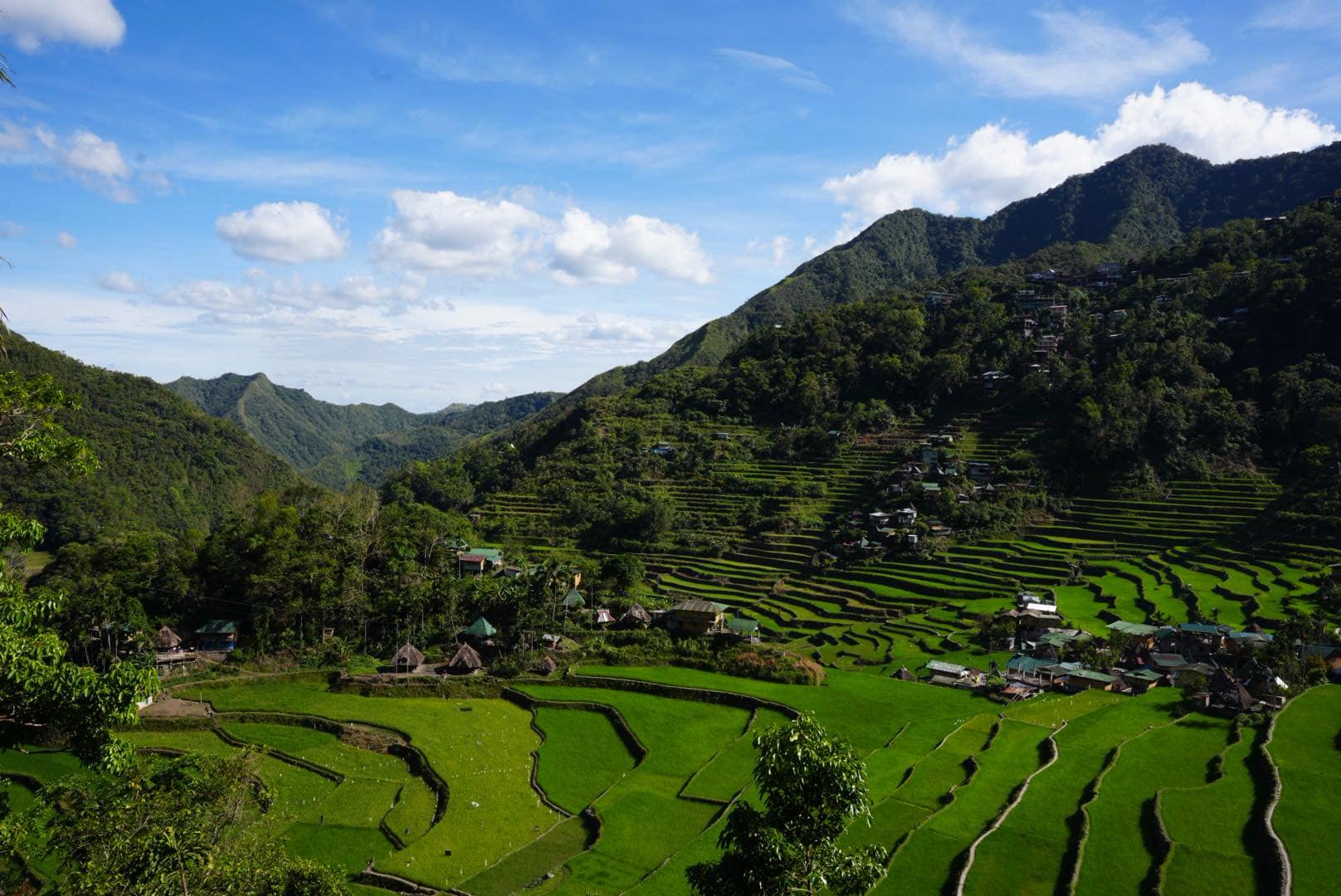banaue rice terrance