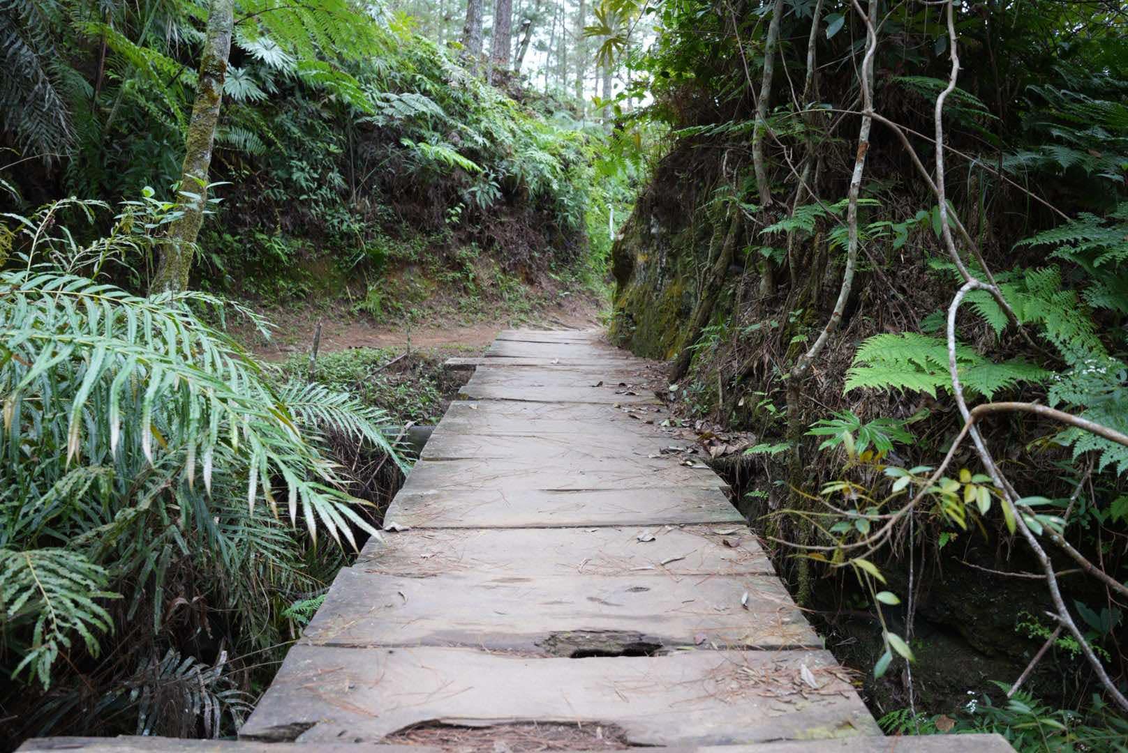 Camp john hay yellow trail