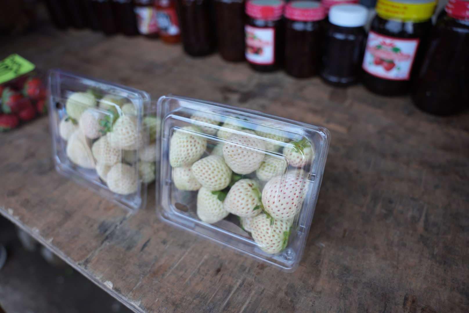 White strawberry